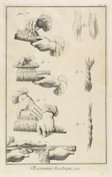 Carding and Combing (Plate II), 1762